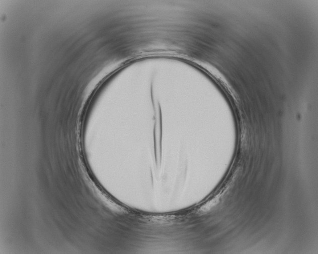 X0000062841333200602101527