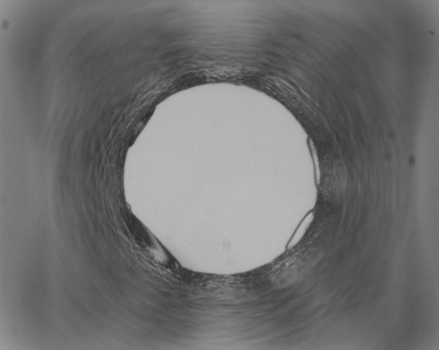 X0000062841345200602101526
