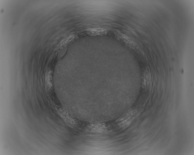 X0000062841346200602101526