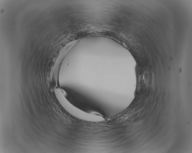 X0000062841348200602101526