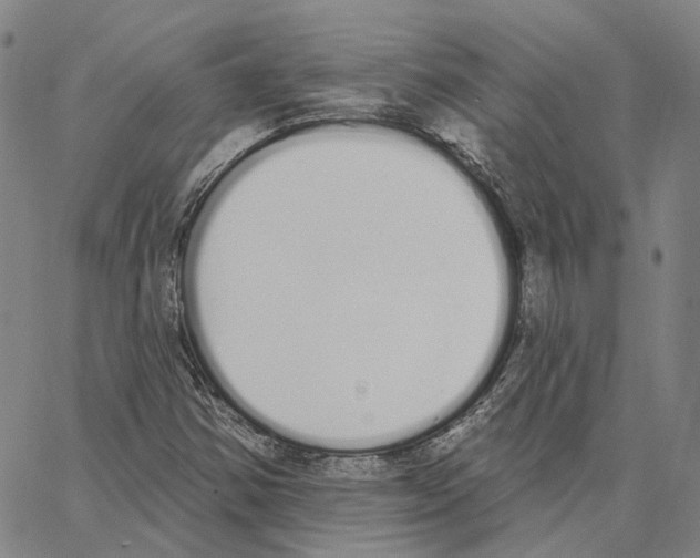 X0000062841354200602101526