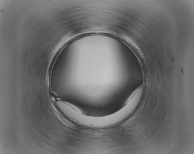 X0000062841372200602101526