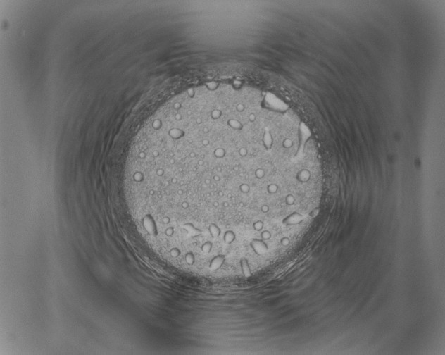 X0000062841393200602101525