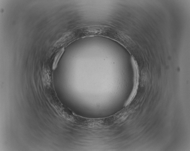 X0000062841394200602101525