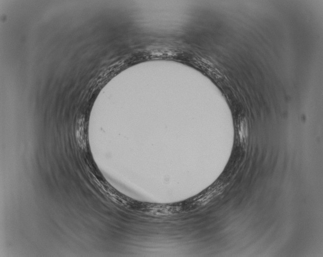 X0000062841396200602101525
