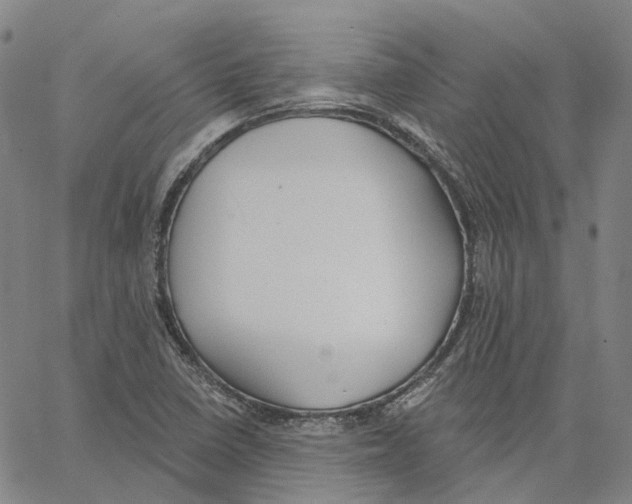 X0000062841410200602101525