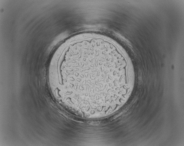 X0000062841411200602101525