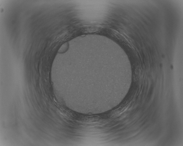 X0000062841441200602101525