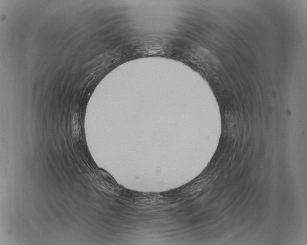 X0000062841442200602101525