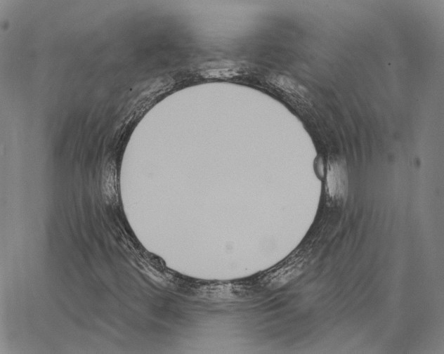 X0000062841444200602101525