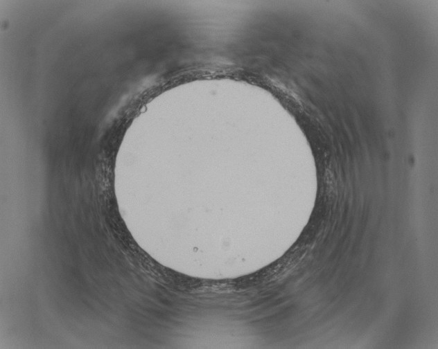 X0000062841447200602101525