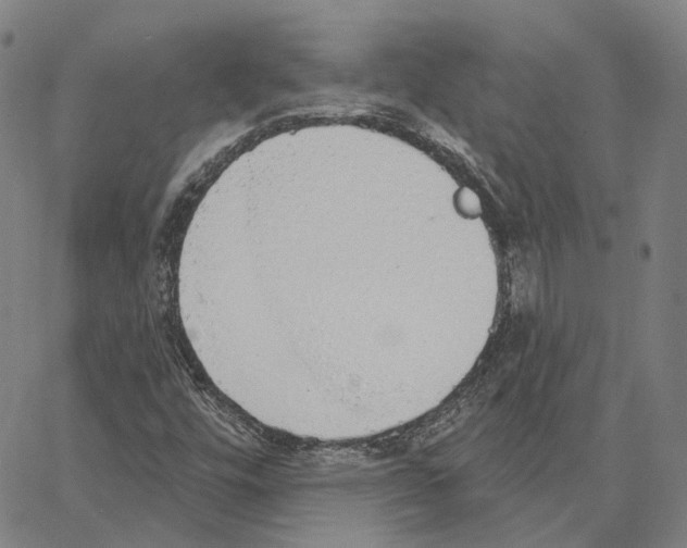 X0000062841448200602101525