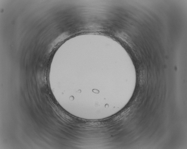 X0000062841451200602101525