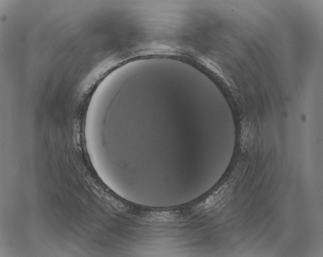X0000062841455200602101525