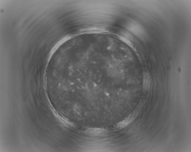 X0000062841474200602101524