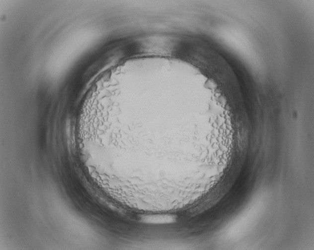 X0000062841487200602101524