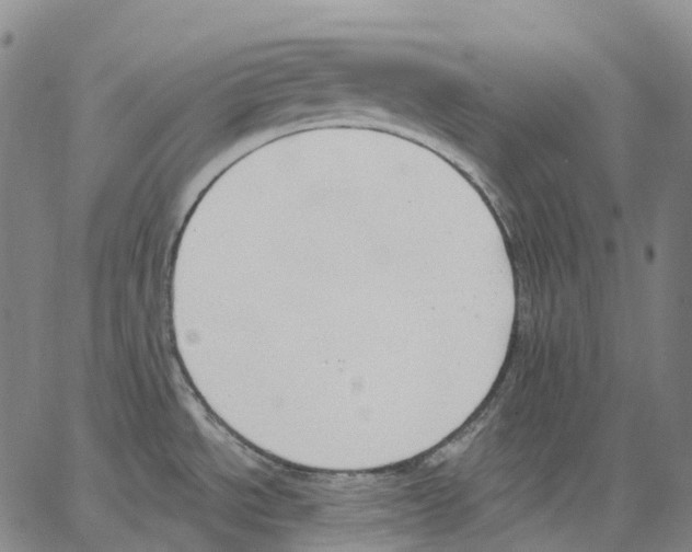 X0000062841534200602101524