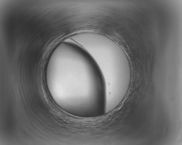 X0000062850001200601130933