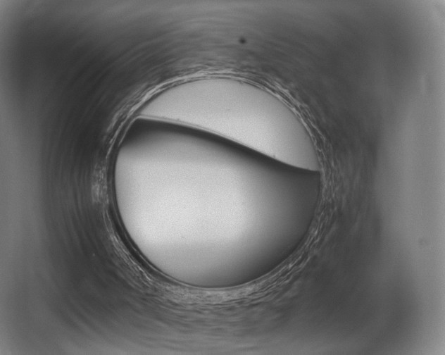 X0000062850002200601130933