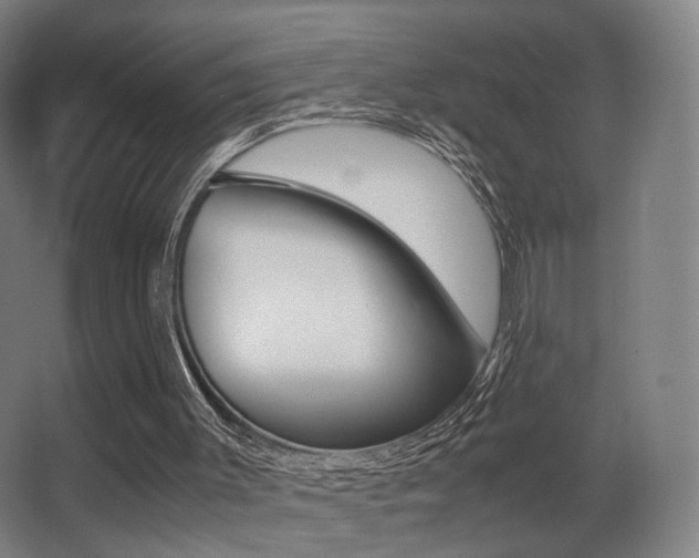 X0000062850003200601130933