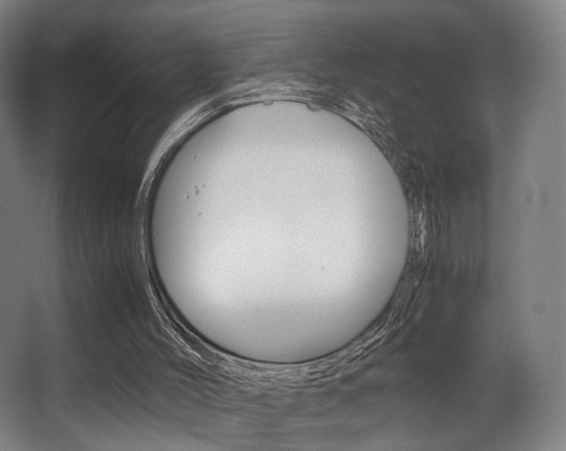 X0000062850004200601130933