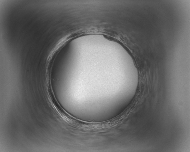 X0000062850005200601130933