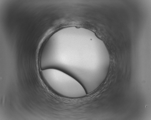 X0000062850006200601130933