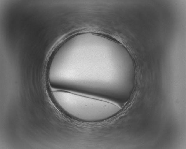 X0000062850007200601130933