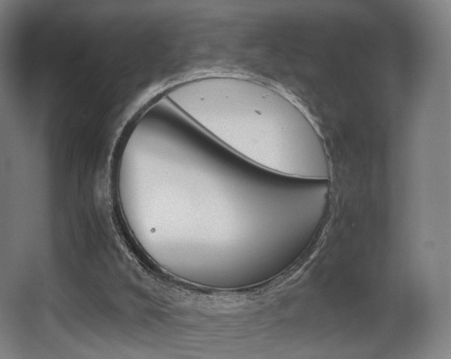 X0000062850008200601130933