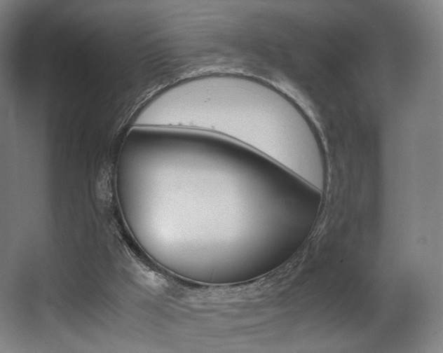 X0000062850009200601130933