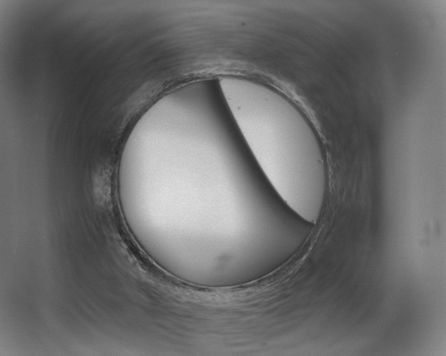 X0000062850010200601130933