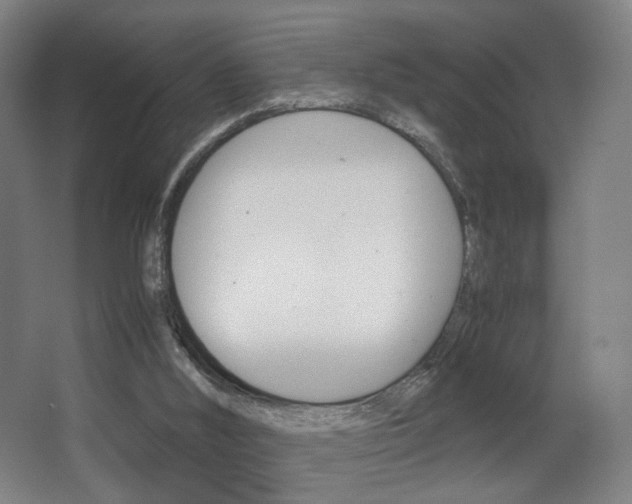 X0000062850012200601130933