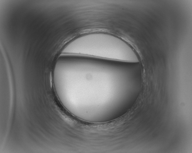 X0000062850013200601130933