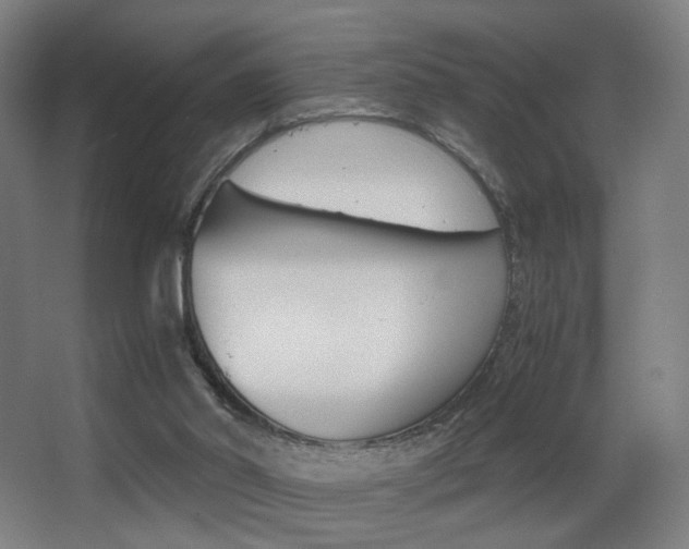 X0000062850014200601130933