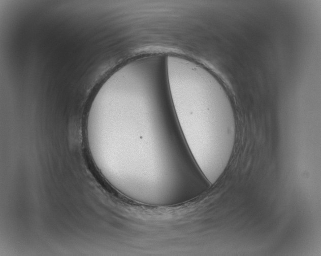 X0000062850015200601130933