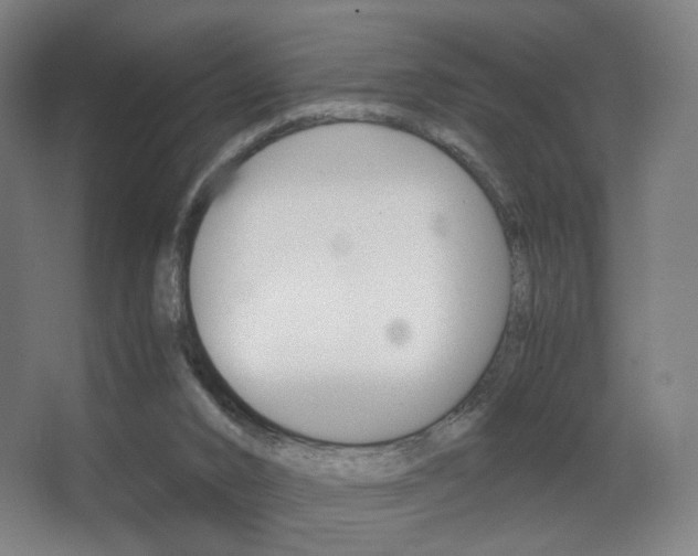 X0000062850016200601130933