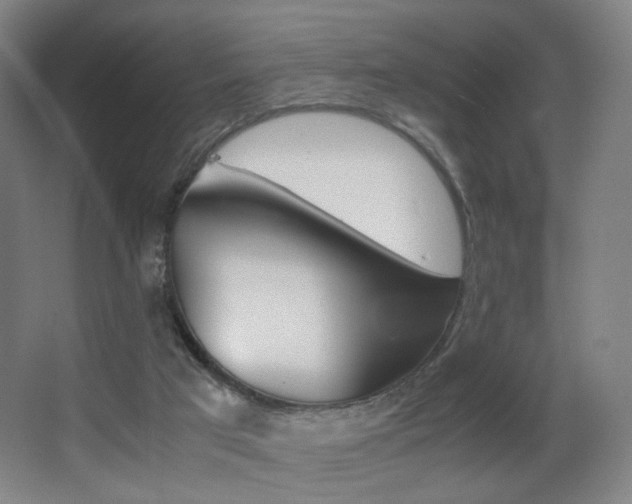 X0000062850017200601130933