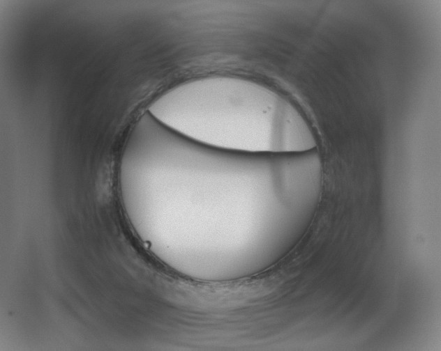 X0000062850018200601130933