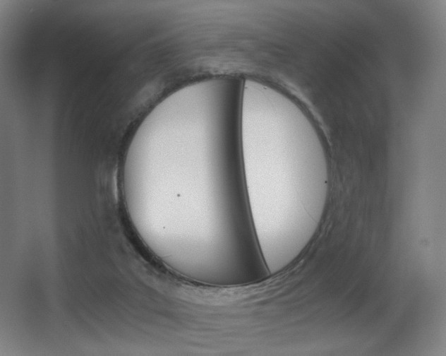 X0000062850019200601130933