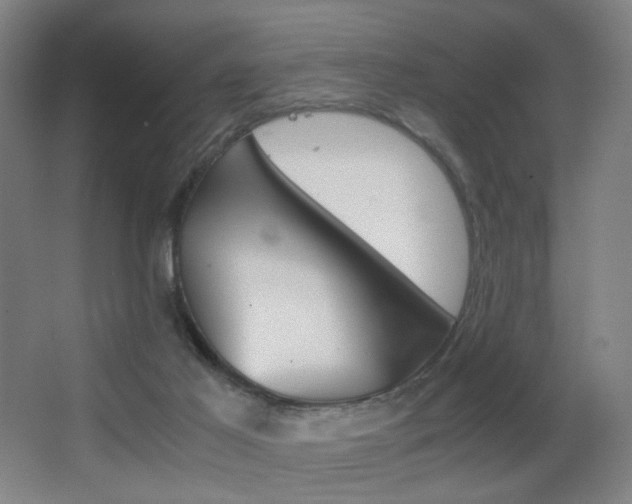 X0000062850021200601130933