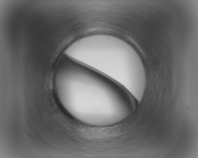 X0000062850023200601130933