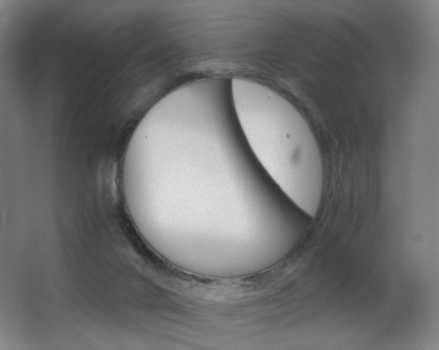 X0000062850024200601130933