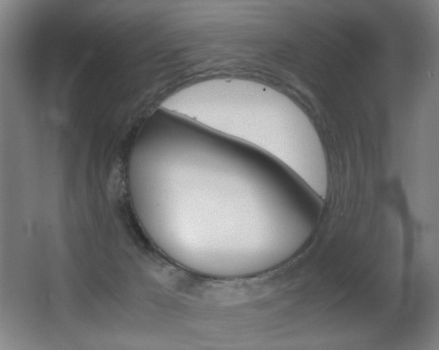 X0000062850029200601130933