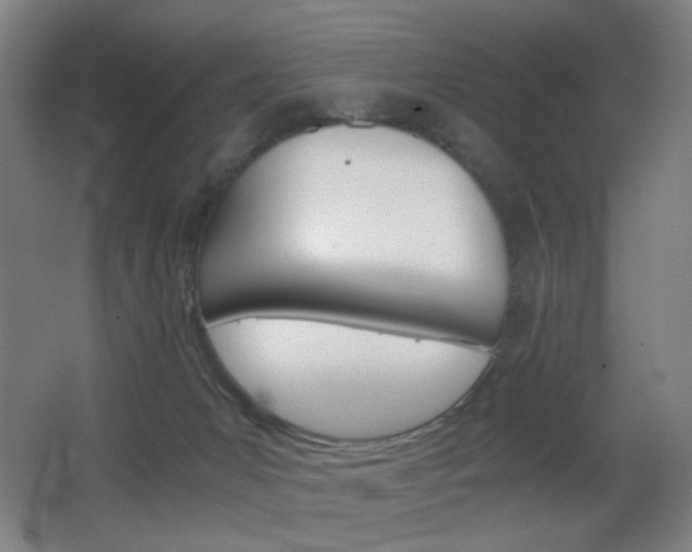 X0000062850031200601130933