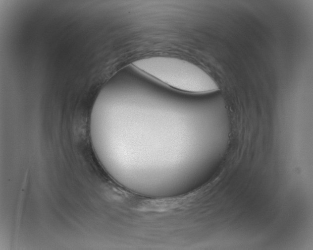 X0000062850033200601130933