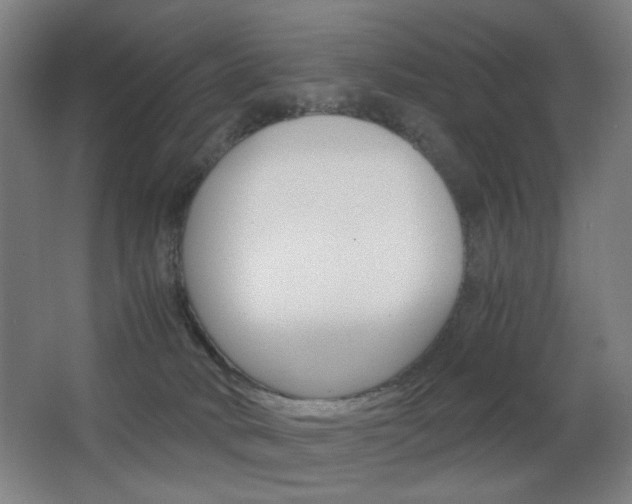 X0000062850034200601130933