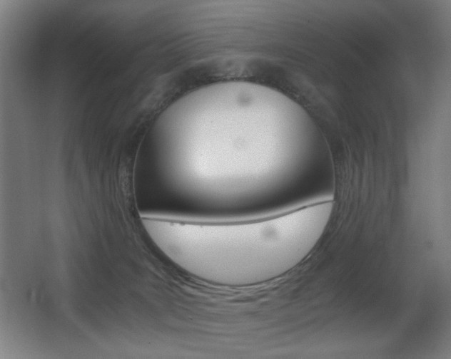 X0000062850035200601130933