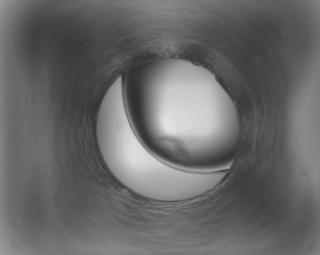 X0000062850037200601130933