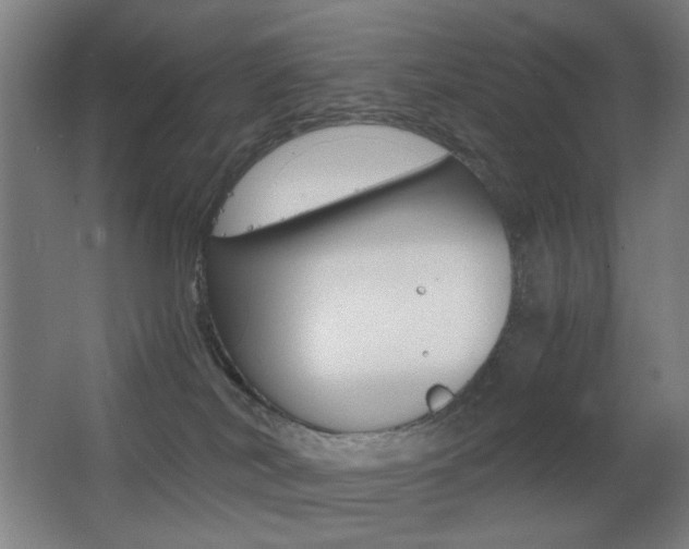 X0000062850038200601130933