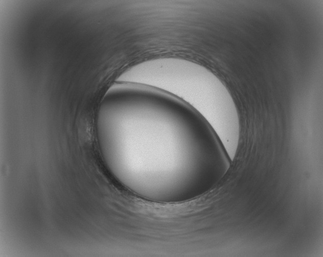 X0000062850039200601130933